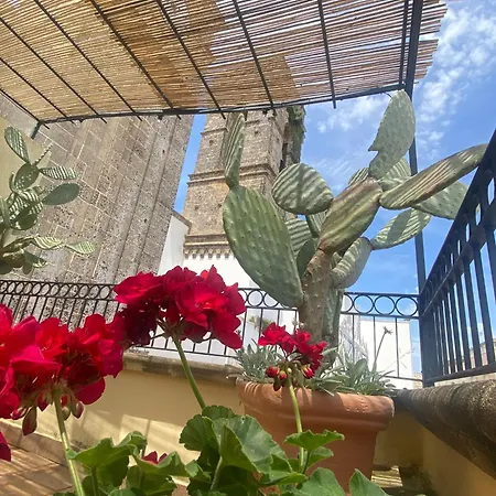 فندق مبيت وإفطار Portaterra *